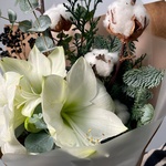 Морозко в Санкт-Петербурге - Фотография 9