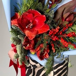 Зимний сон в Санкт-Петербурге - Фотография 2