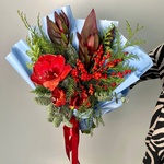 Зимний сон в Санкт-Петербурге - Фотография 3