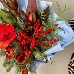 Зимний сон в Санкт-Петербурге - Фотография 4