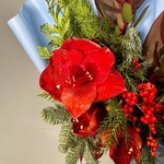 Зимний сон в Санкт-Петербурге - Фотография 5