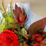 Зимний сон в Санкт-Петербурге - Фотография 6