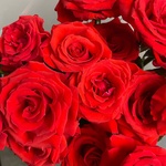 Май Харт: 15 алых роз сорта Нина  в Санкт-Петербурге - Фотография 8