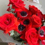 Снилось мне: алые розы и красные анемоны в Санкт-Петербурге - Фотография 10