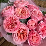 Дыхание Парижа: пионовидные розы Пинк Экспрешн и эвкалипт  в Санкт-Петербурге  - Фотография 5 Дыхание Парижа: пионовидные розы Пинк Экспрешн и эвкалипт  в Санкт-Петербурге  - Фотография 5