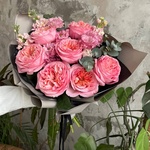 Ты моя лапочка: пионовидные розы и ароматная маттиола в Санкт-Петербурге - Фотография 4 Ты моя лапочка: пионовидные розы и ароматная маттиола в Санкт-Петербурге - Фотография 4