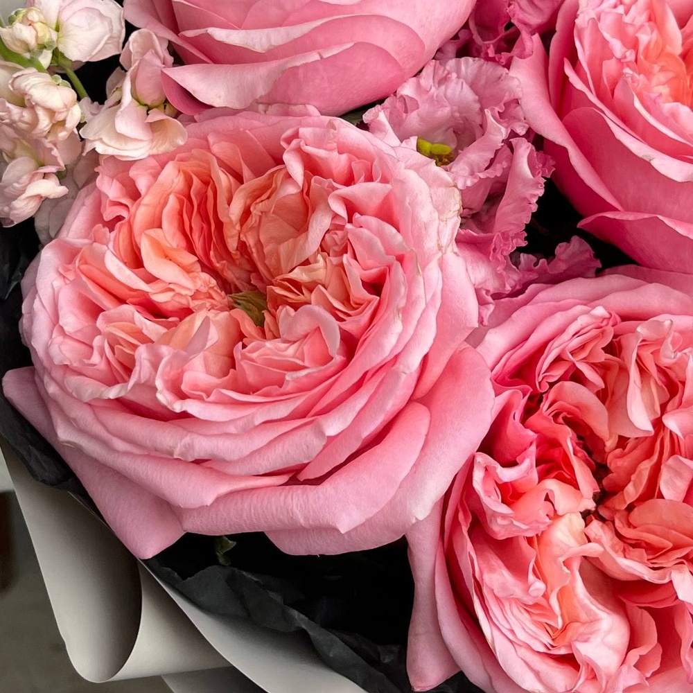 Ты моя лапочка: пионовидные розы и ароматная маттиола + аквабокс и коробка-переноска