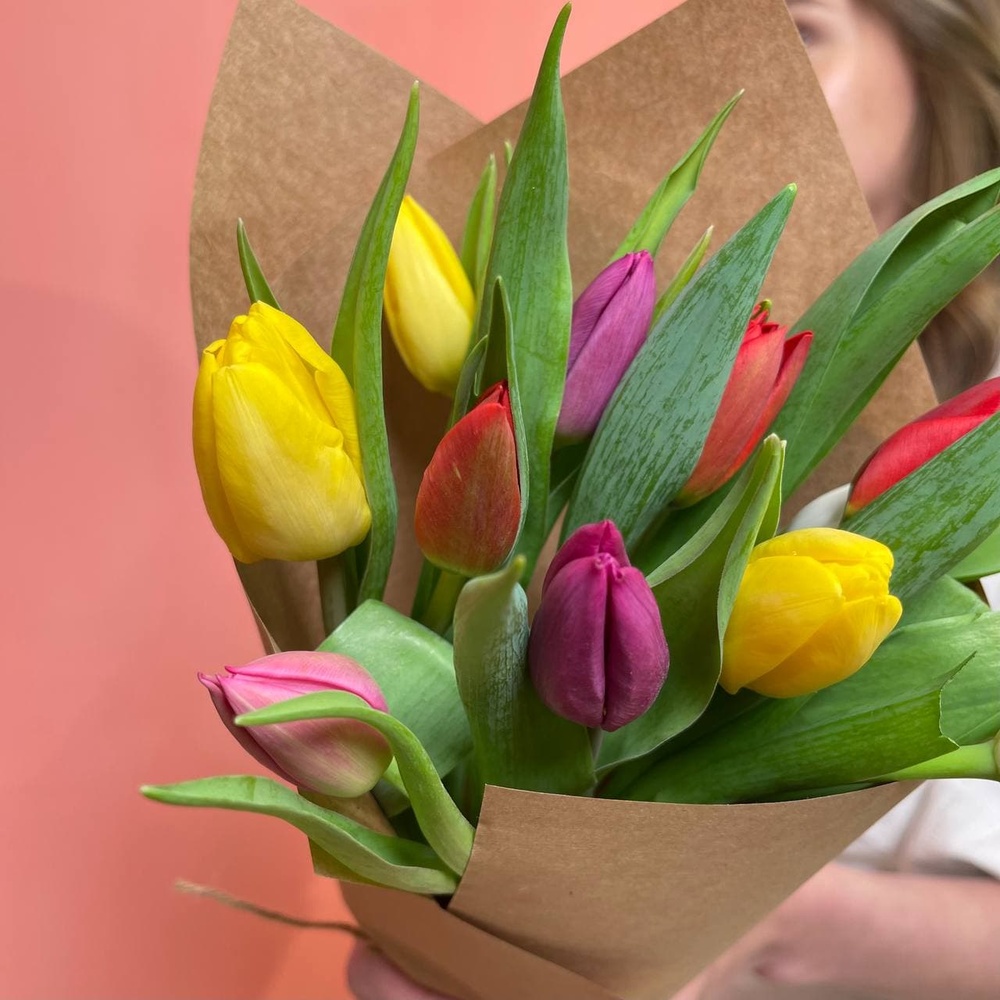11 разноцветных тюльпанов микс
