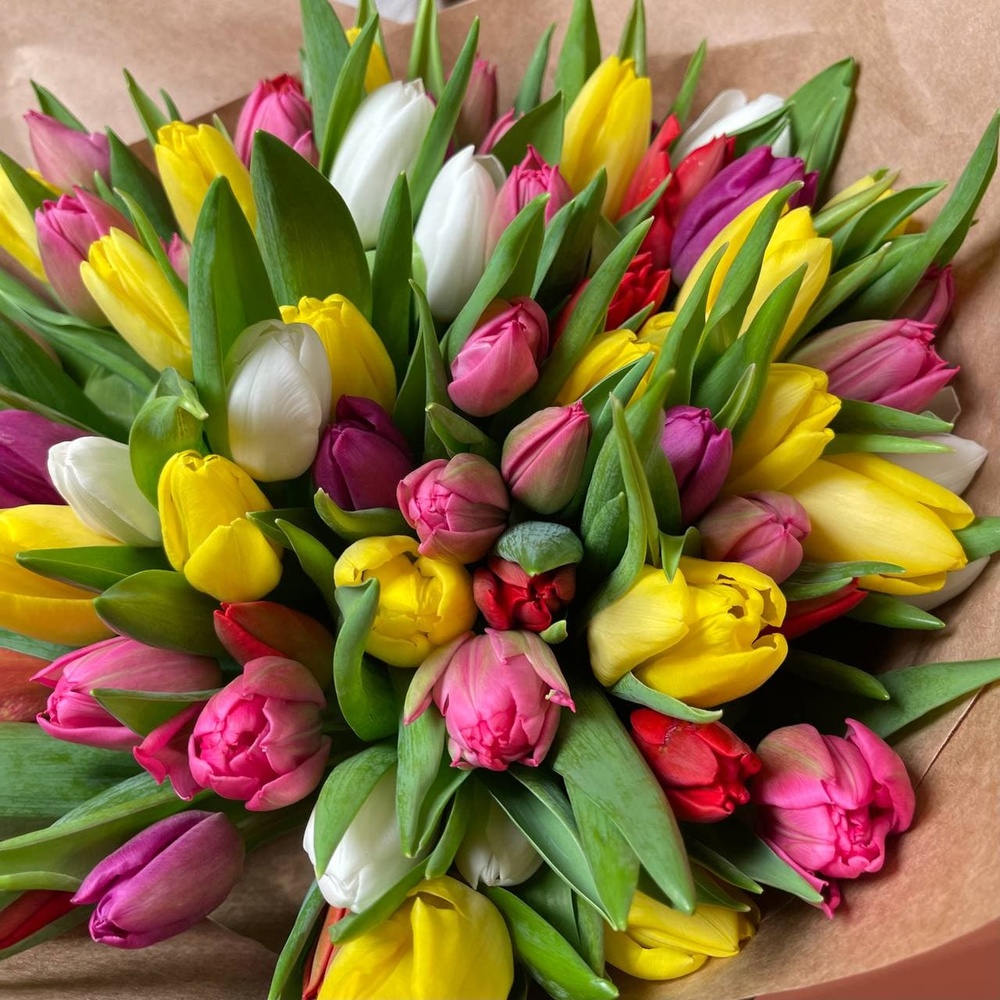 75 разноцветных тюльпанов микс