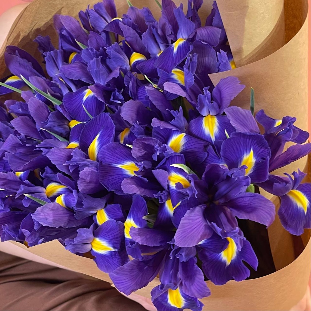 Блю Кюрасао: букет из 25 синих ирисов