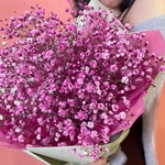 Кис-кис: букет из розовой гипсофилы в Санкт-Петербурге - Фотография 4