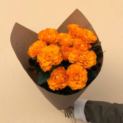 Букет Огненная Маргарита: 11 оранжевых кружевных роз