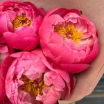 Букет из коралловых пионов в Санкт-Петербурге - Фотография 6