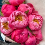 Букет из коралловых пионов в Санкт-Петербурге - Фотография 3 Букет из коралловых пионов в Санкт-Петербурге - Фотография 3