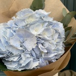 Букет голубая гортензия в Санкт-Петербурге - Фотография 4