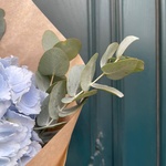 Букет голубая гортензия в Санкт-Петербурге - Фотография 6