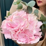 Букет розовая гортензия в Санкт-Петербурге - Фотография 4