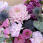 В сиреневую даль: ароматная маттиола, экзотический эрингиум и другие цветы в Санкт-Петербурге - Фотография 5