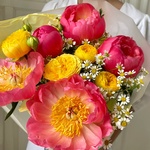 Рен-ле-Шато: коралловые пионы и пионовидная роза в Санкт-Петербурге - Фотография 3