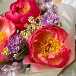 Эль Монте: коралловые пионы и ароматная маттиола в Санкт-Петербурге - Фотография 4