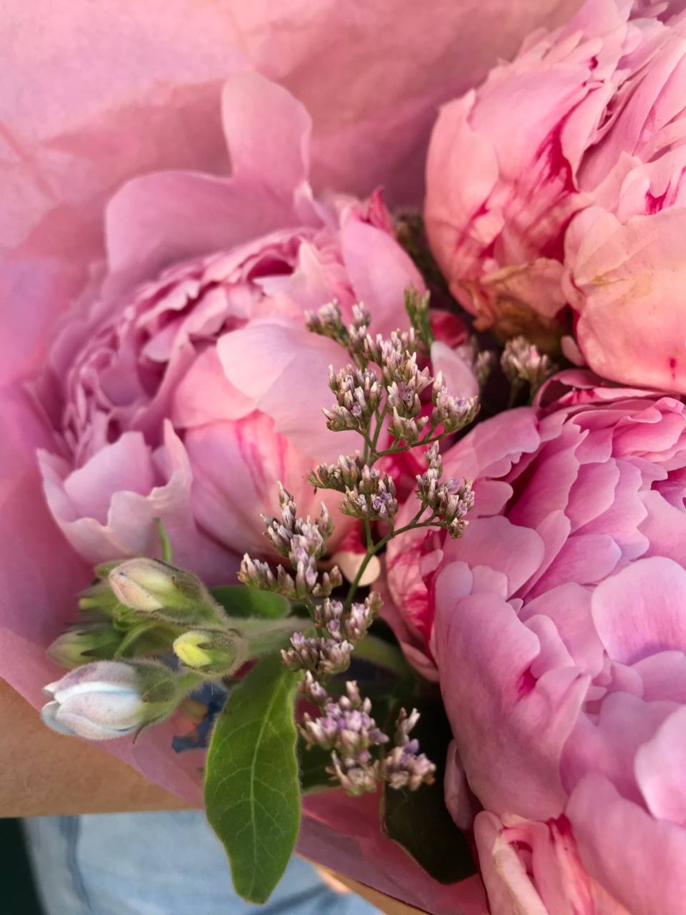 Румяна Барби: букет пионов для красотки