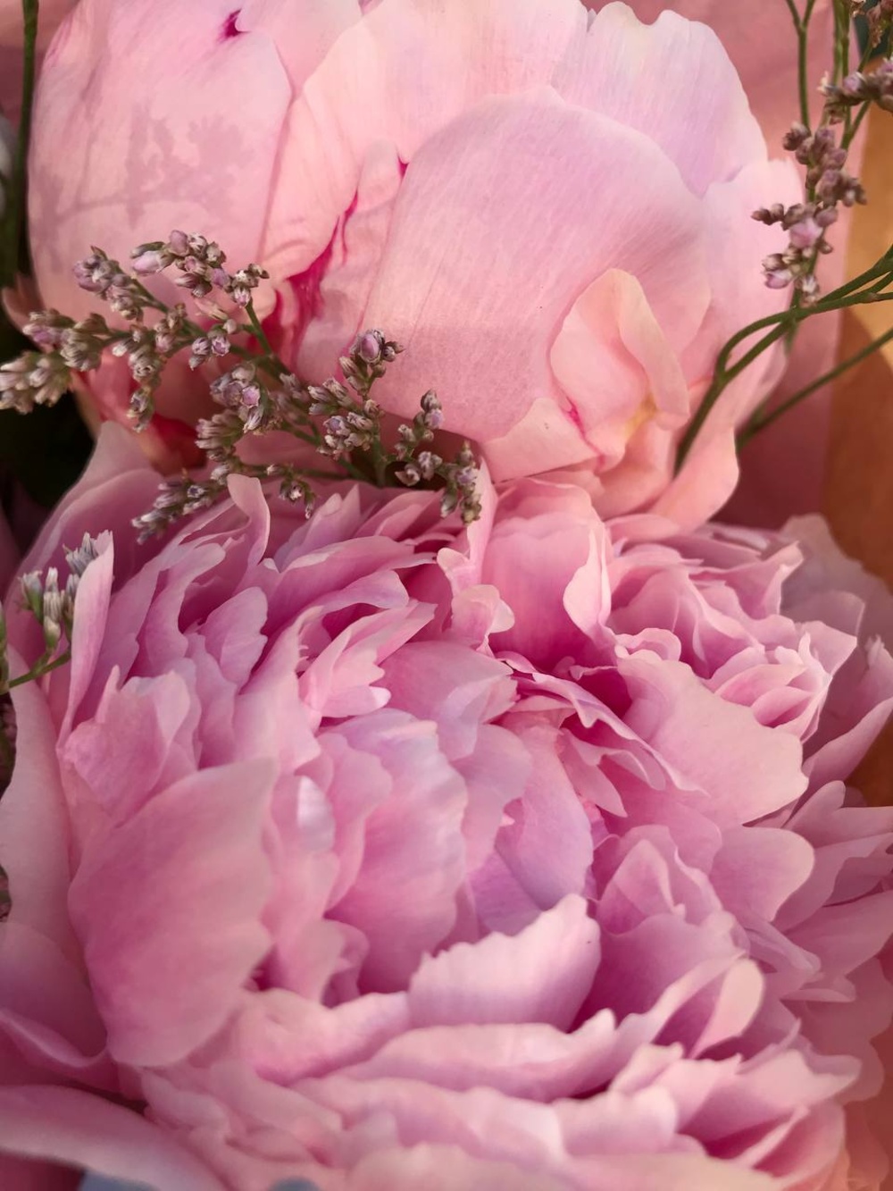 Румяна Барби: букет пионов для красотки