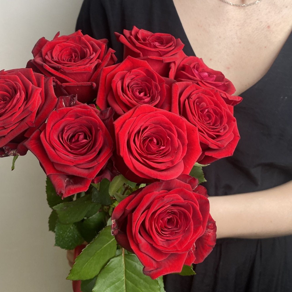 Свежих 9 красных роз