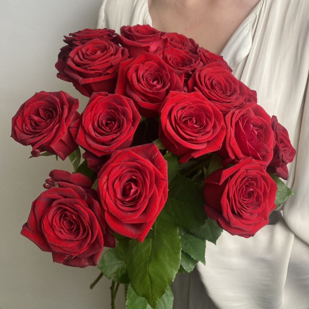 Свежих 17 красных роз