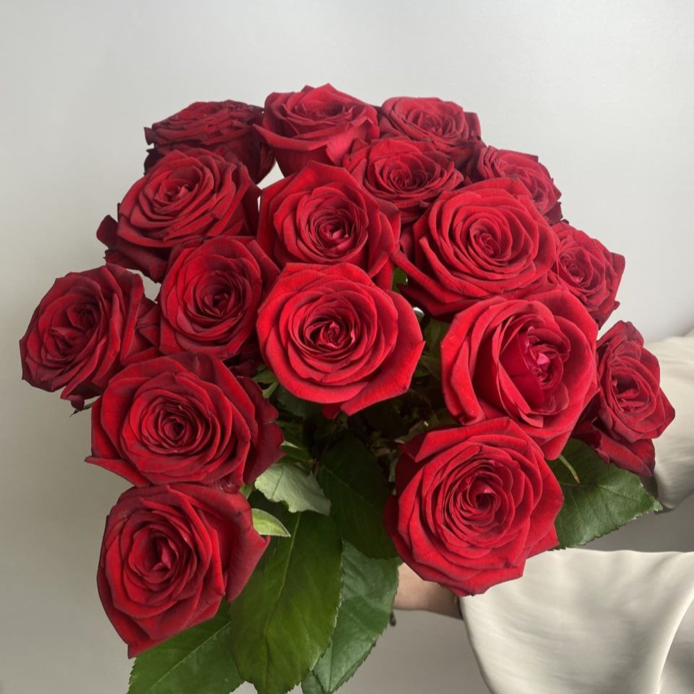 Свежих 17 красных роз