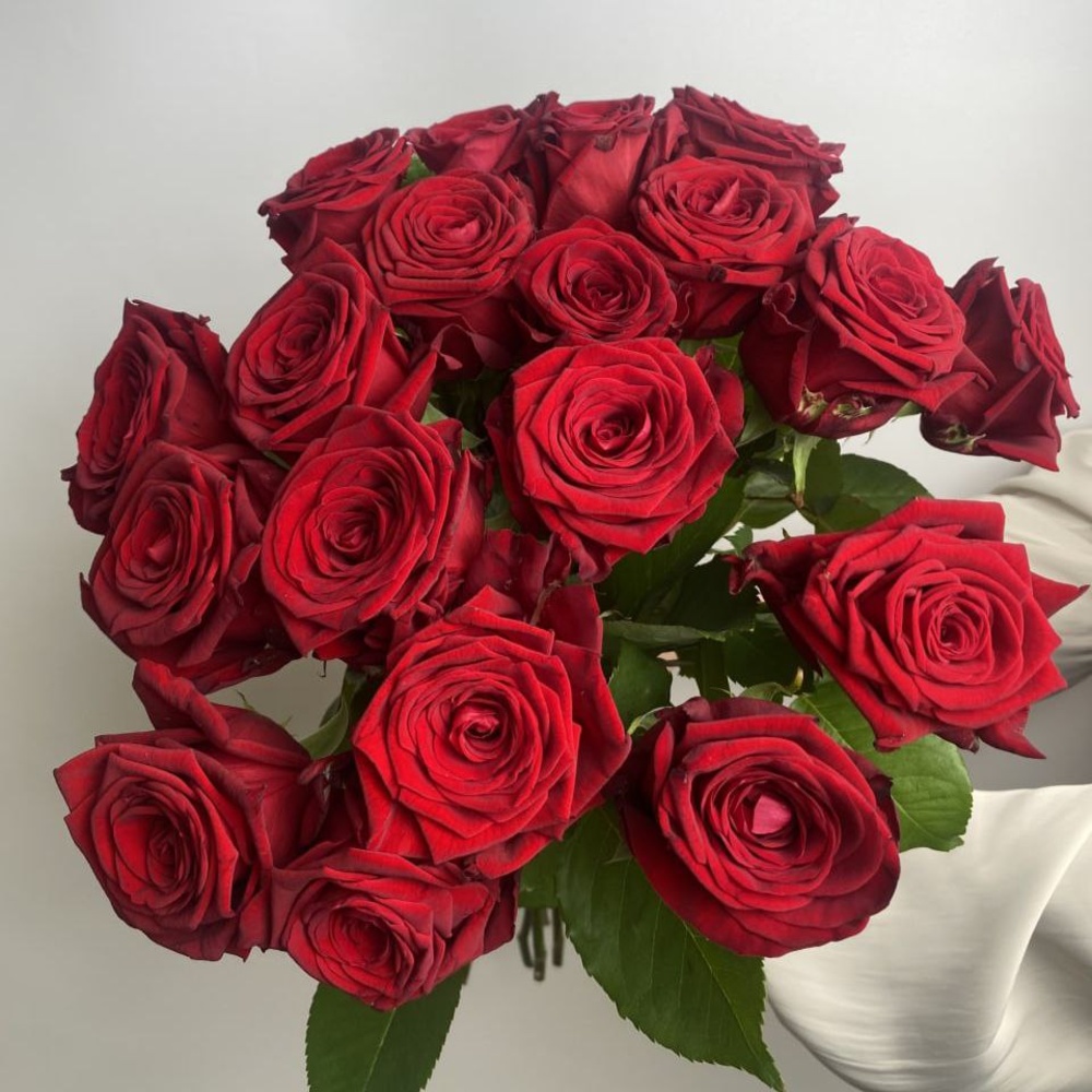 Свежих 19 красных роз