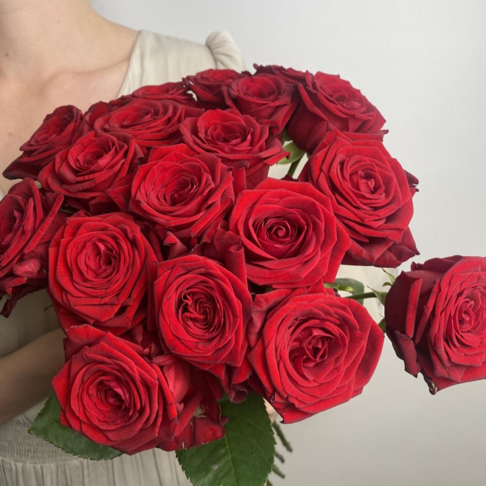 Свежие 21 красная роза
