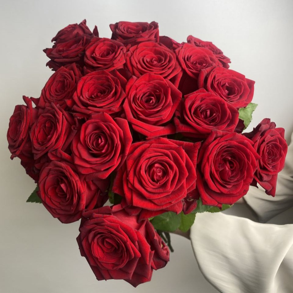 Свежие 21 красная роза