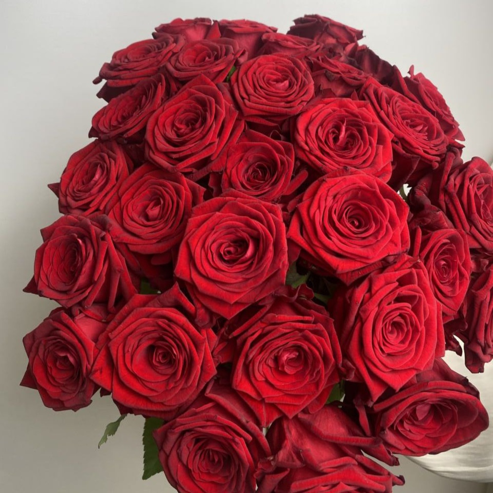 Свежие 31 красная роза