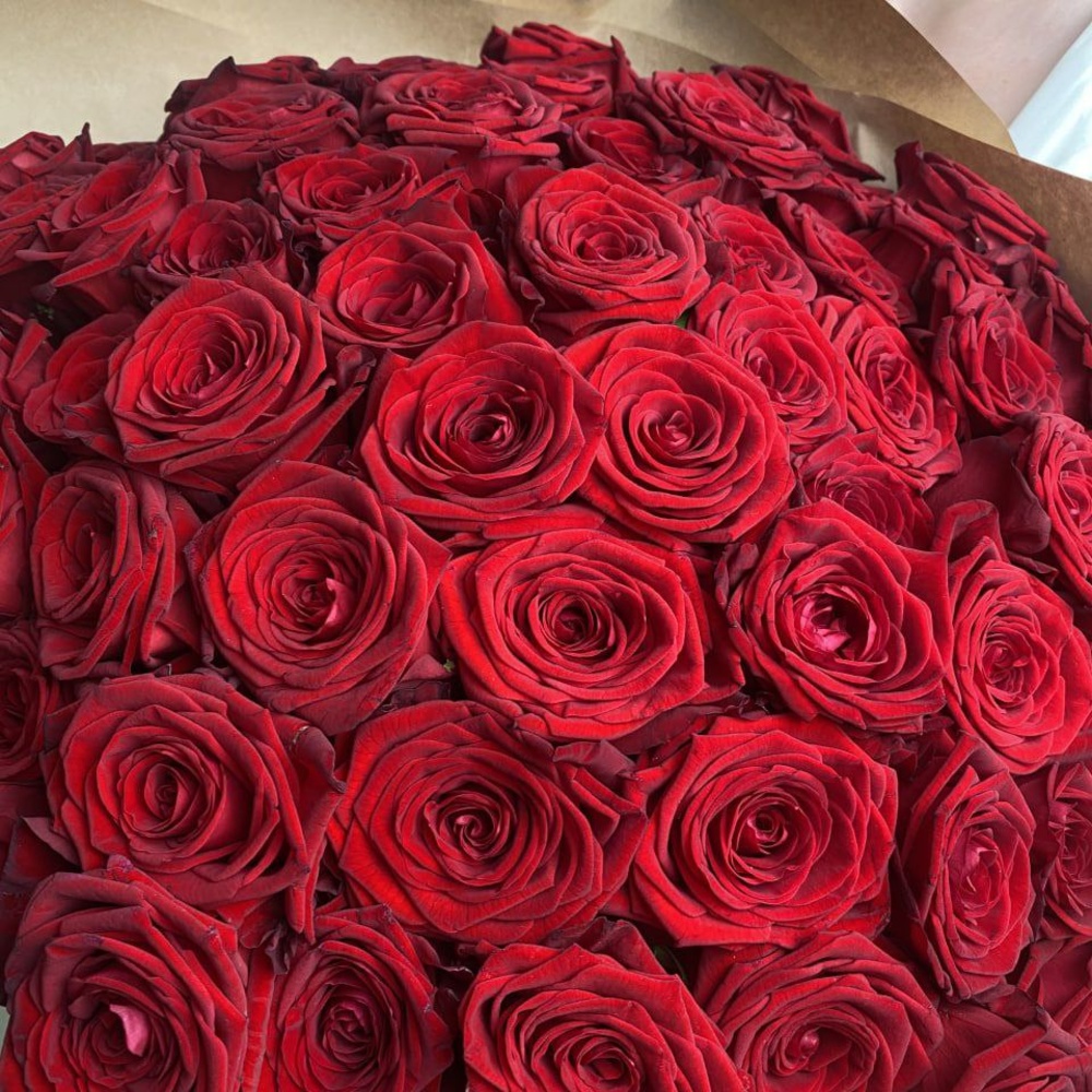 Свежие 71 красная роза в крафте