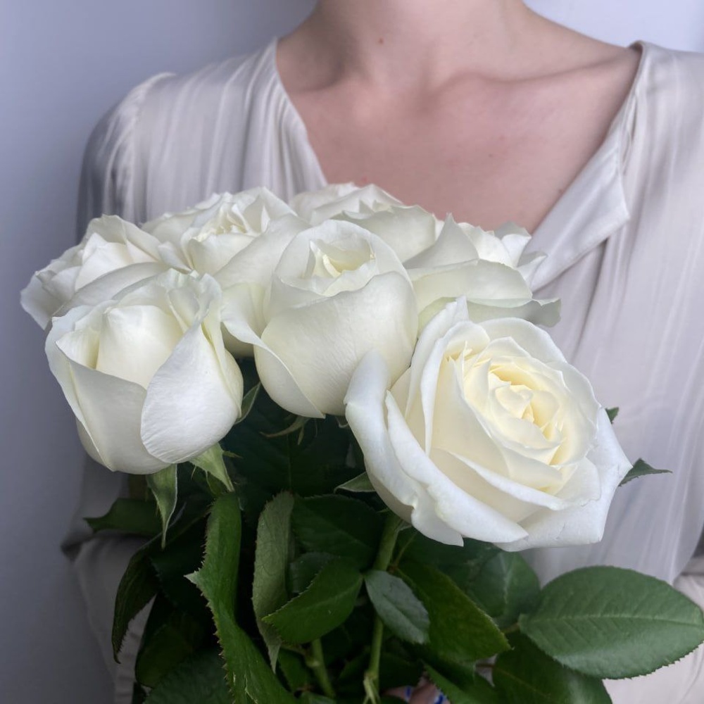 Свежих 9 белых роз под ленту