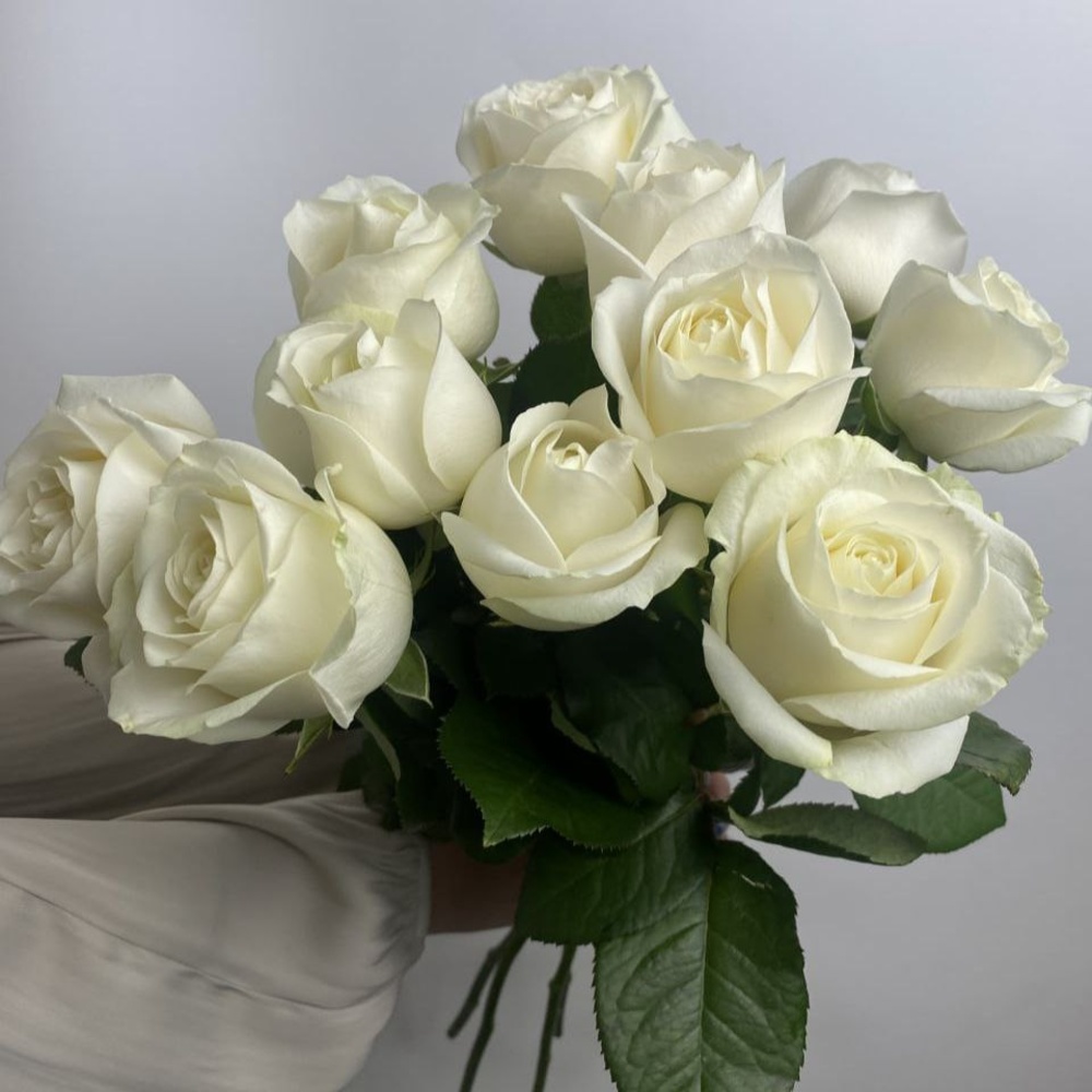 Свежих 11 белых роз под ленту