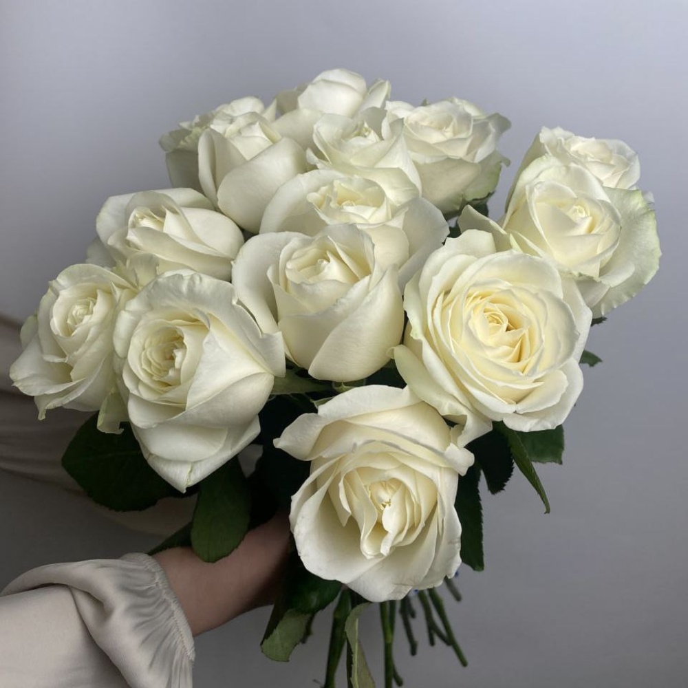 Свежих 15 белых роз под ленту
