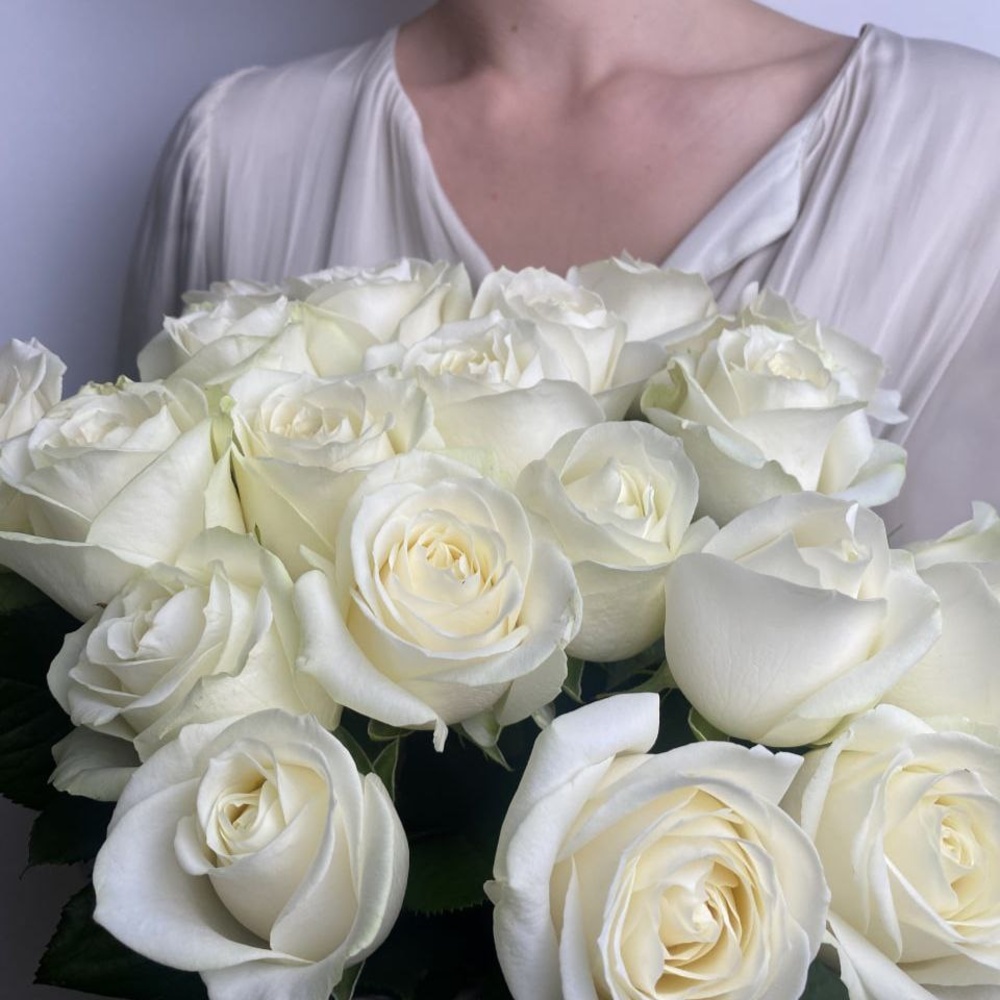 Свежие 21 белая роза под ленту + аквабокс и коробка-переноска