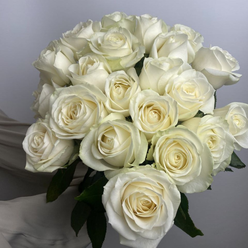 Свежие 21 белая роза под ленту + аквабокс и коробка-переноска