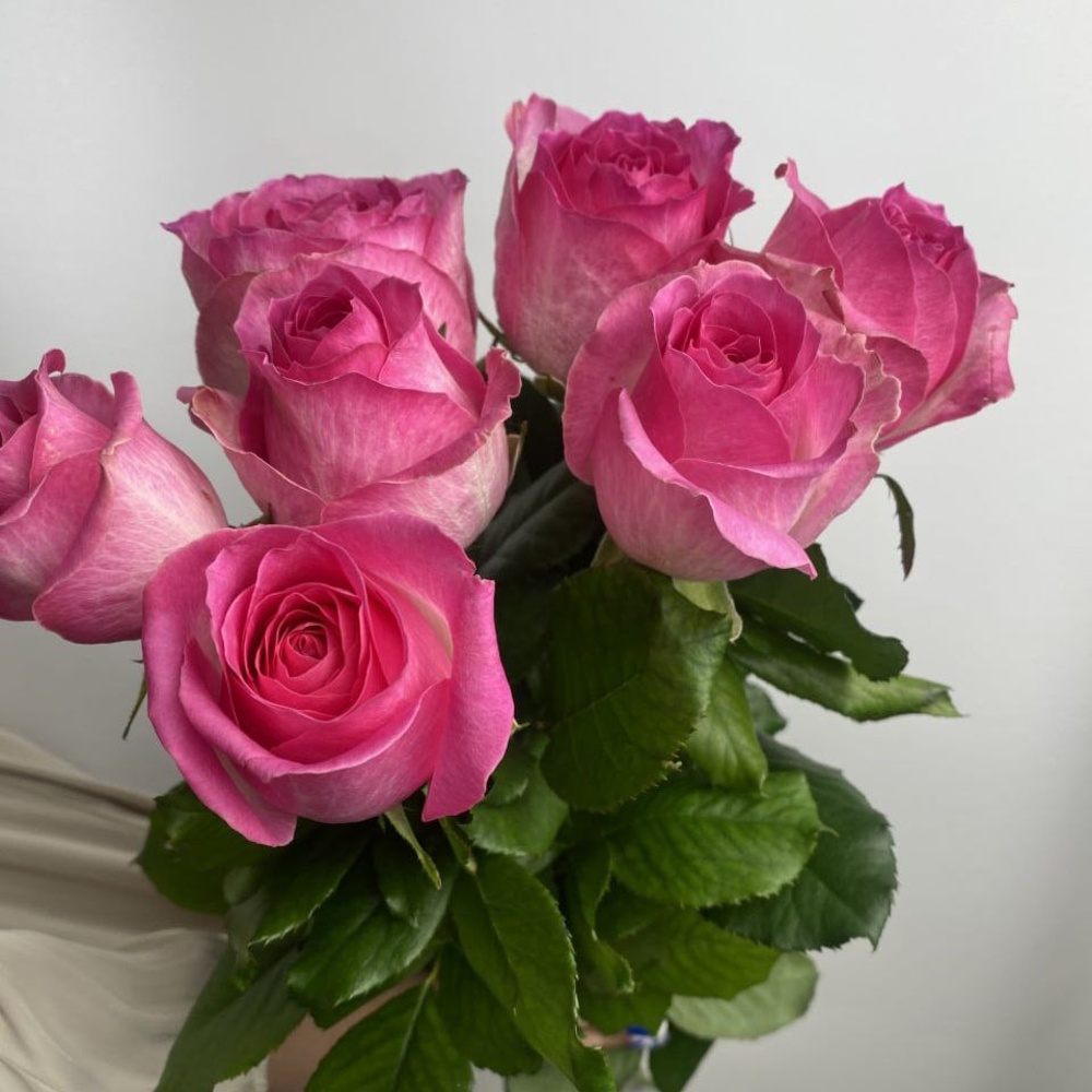 Свежих 7 розовых роз под ленту