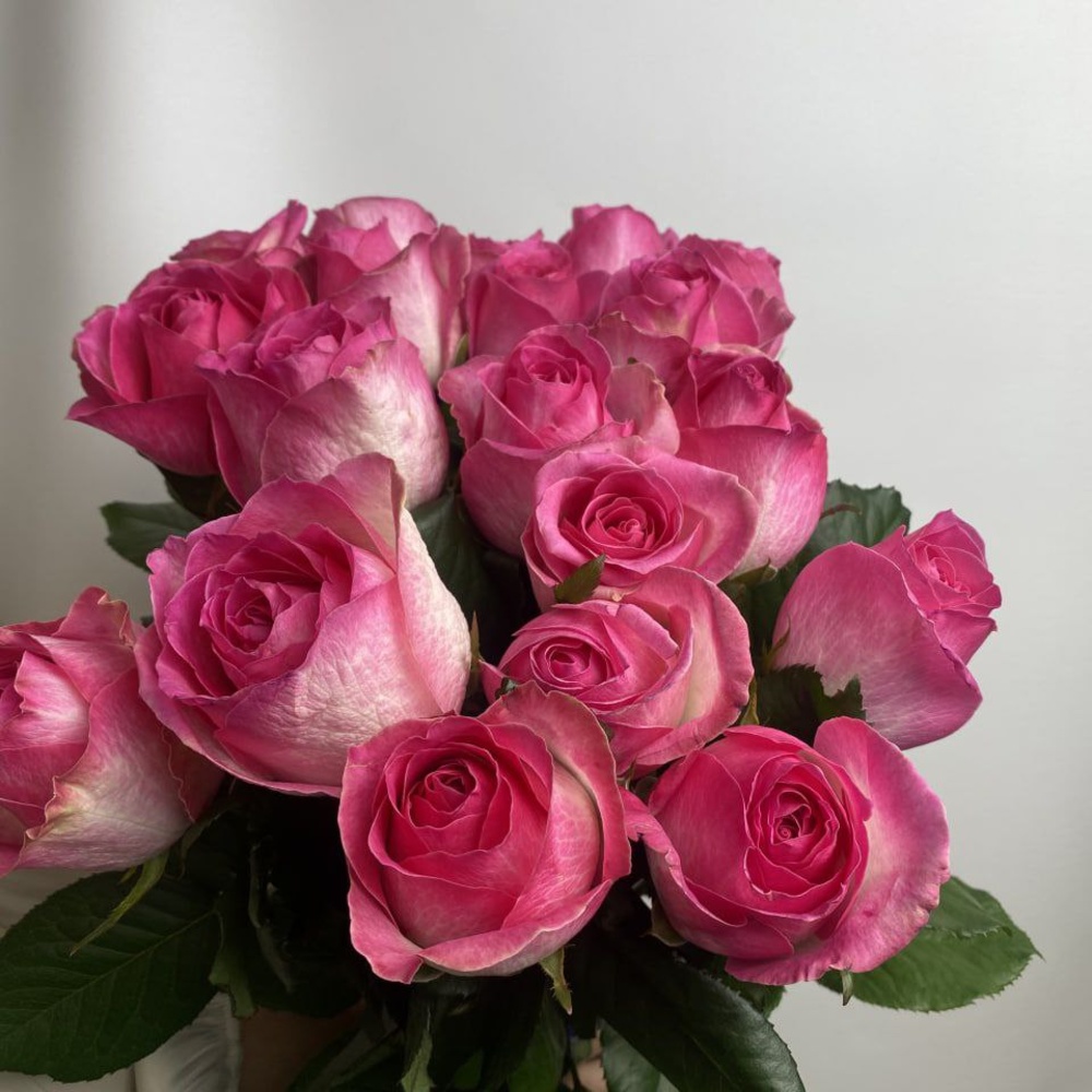 Свежих 19 розовых роз под ленту