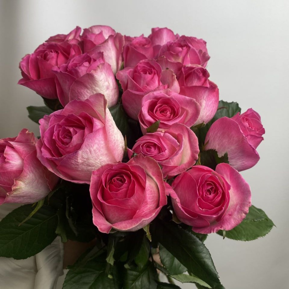 Свежие 21 розовая роза под ленту