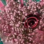 Букет «Сладкая вата» из розовой гипсофилы с карамелью на палочке с доставкой по СПБ - Фотография 3 Букет «Сладкая вата» из розовой гипсофилы с карамелью на палочке с доставкой по СПБ - Фотография 3