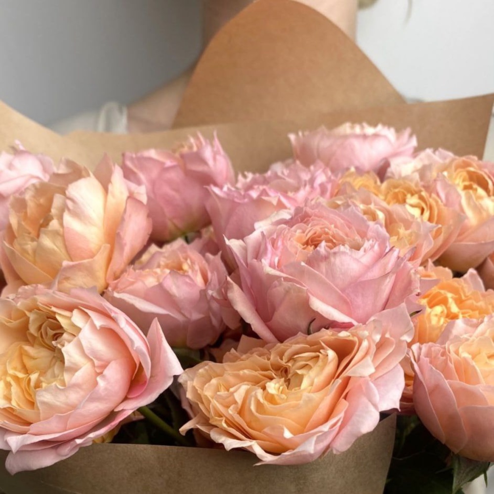 Свежих 7 кустовых пионовидных роз Джульетта в крафте