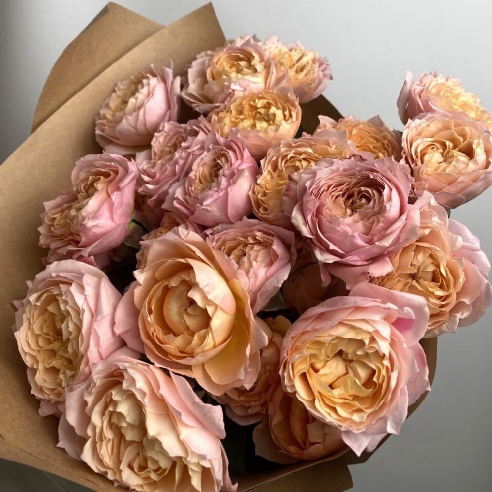 Свежих 7 кустовых пионовидных роз Джульетта в крафте