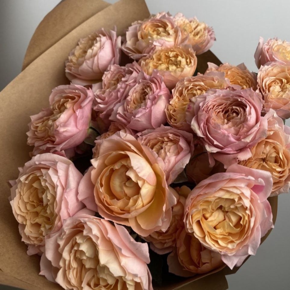 Свежих 9 кустовых пионовидных роз Джульетта в крафте