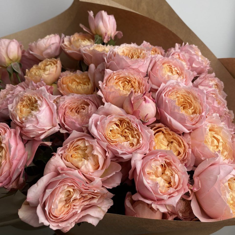 Свежих 19 кустовых пионовидных роз Джульетта в крафте