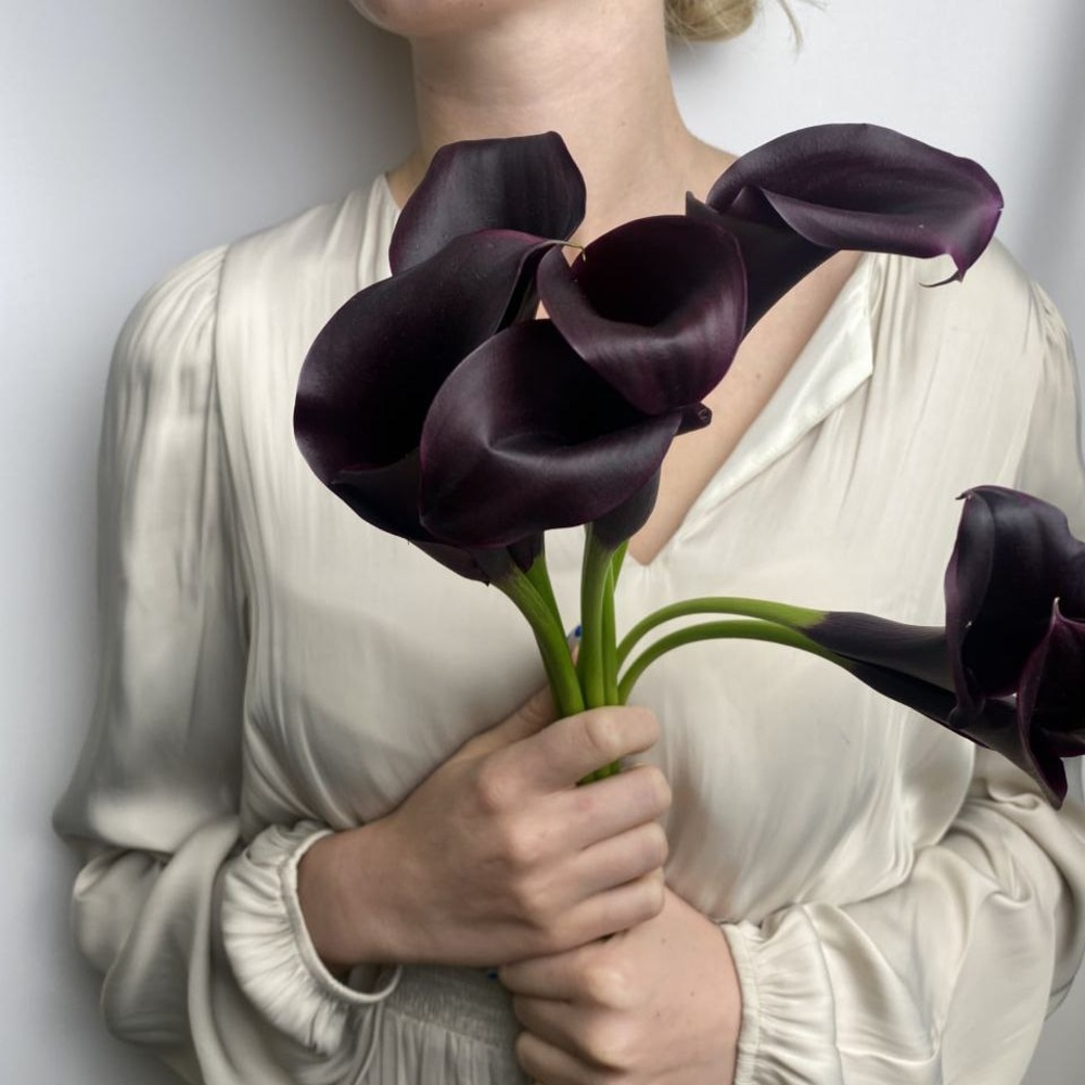 Свежих 7 каллы под ленту