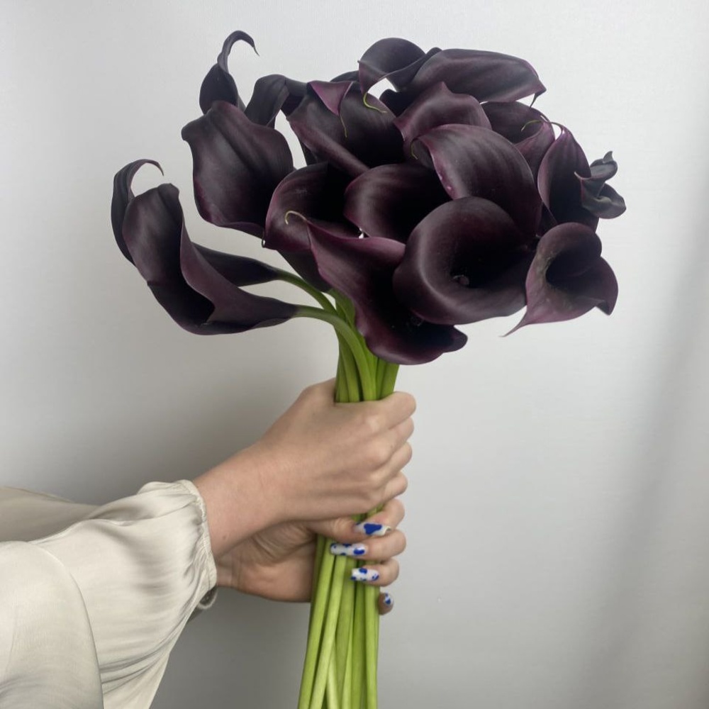 Свежих 19 каллы под ленту