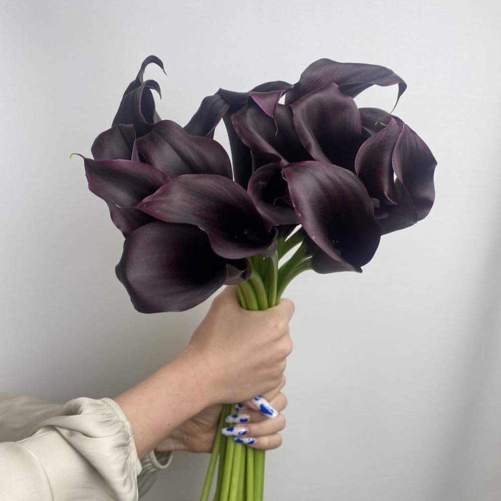 Свежих 17 каллы под ленту